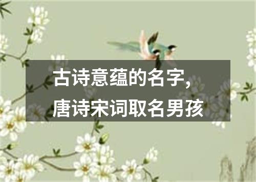 古诗意蕴的名字,唐诗宋词取名男孩