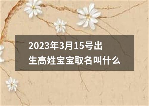 2023年3月15号出生高姓宝宝取名叫什么