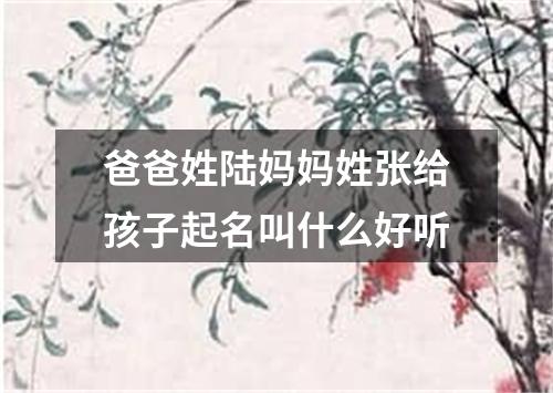 爸爸姓陆妈妈姓张给孩子起名叫什么好听