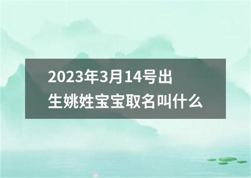 2023年3月14号出生姚姓宝宝取名叫什么