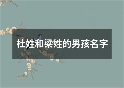 杜姓和梁姓的男孩名字