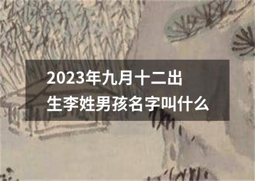 2023年九月十二出生李姓男孩名字叫什么