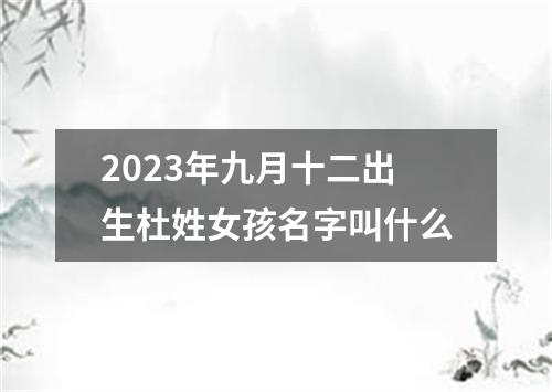 2023年九月十二出生杜姓女孩名字叫什么