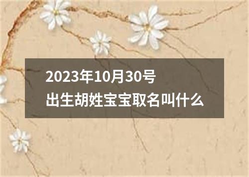2023年10月30号出生胡姓宝宝取名叫什么