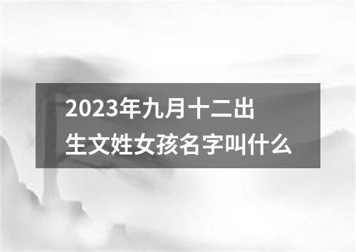 2023年九月十二出生文姓女孩名字叫什么