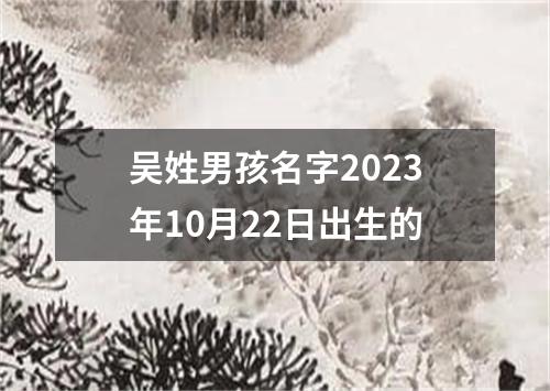 吴姓男孩名字2023年10月22日出生的