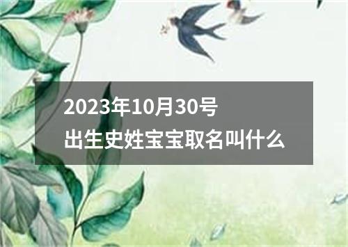 2023年10月30号出生史姓宝宝取名叫什么
