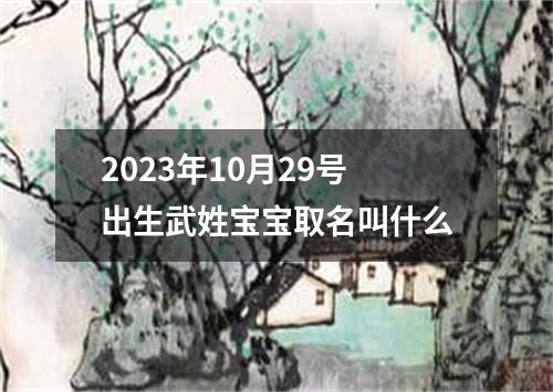 2023年10月29号出生武姓宝宝取名叫什么