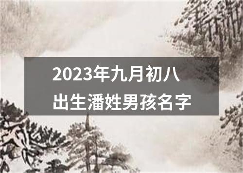 2023年九月初八出生潘姓男孩名字