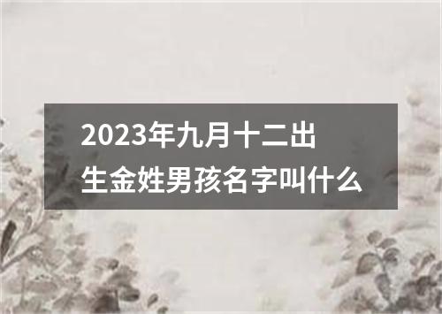 2023年九月十二出生金姓男孩名字叫什么