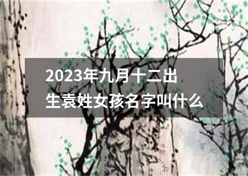 2023年九月十二出生袁姓女孩名字叫什么