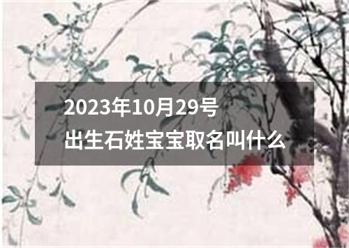 2023年10月29号出生石姓宝宝取名叫什么