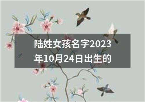 陆姓女孩名字2023年10月24日出生的