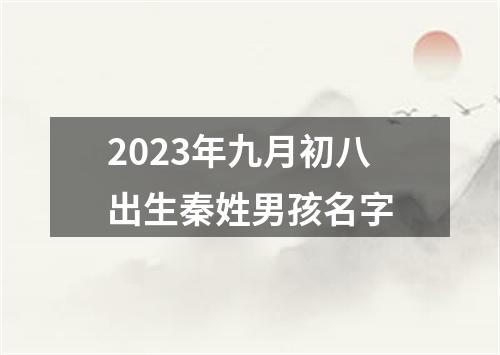 2023年九月初八出生秦姓男孩名字