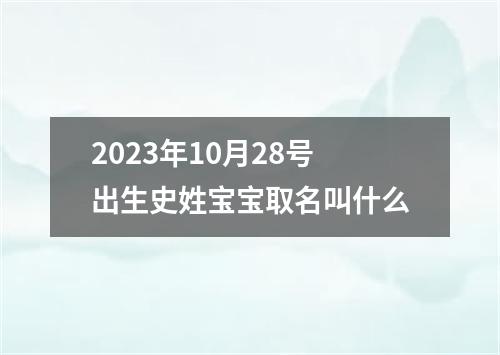 2023年10月28号出生史姓宝宝取名叫什么