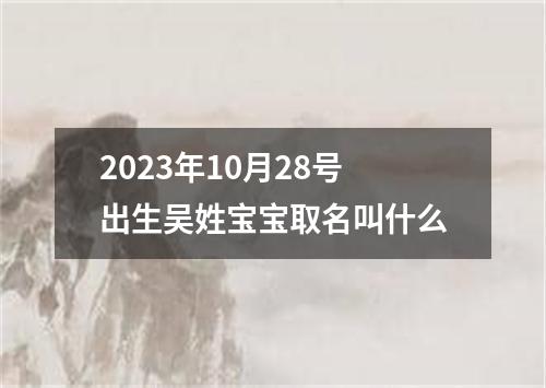 2023年10月28号出生吴姓宝宝取名叫什么