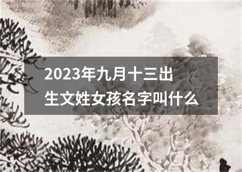 2023年九月十三出生文姓女孩名字叫什么