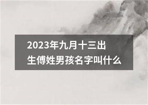 2023年九月十三出生傅姓男孩名字叫什么