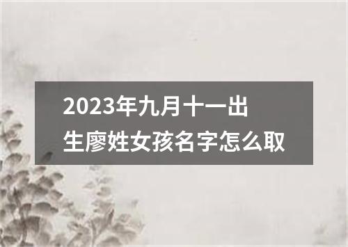 2023年九月十一出生廖姓女孩名字怎么取