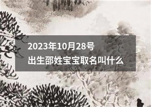 2023年10月28号出生邵姓宝宝取名叫什么