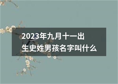 2023年九月十一出生史姓男孩名字叫什么