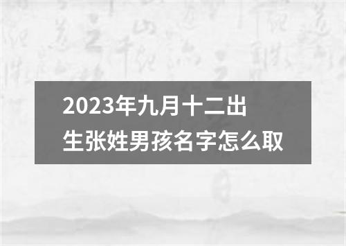 2023年九月十二出生张姓男孩名字怎么取