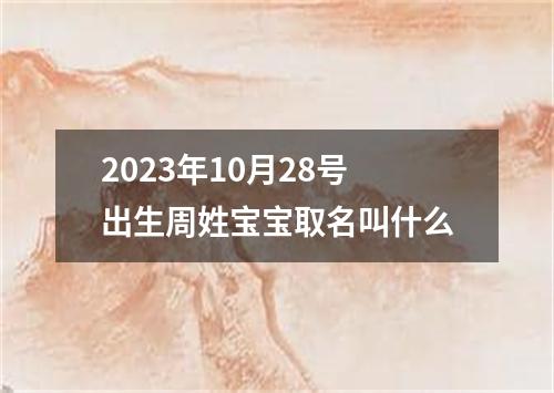 2023年10月28号出生周姓宝宝取名叫什么