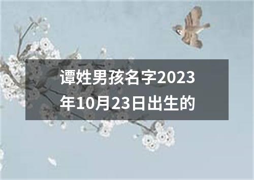 谭姓男孩名字2023年10月23日出生的