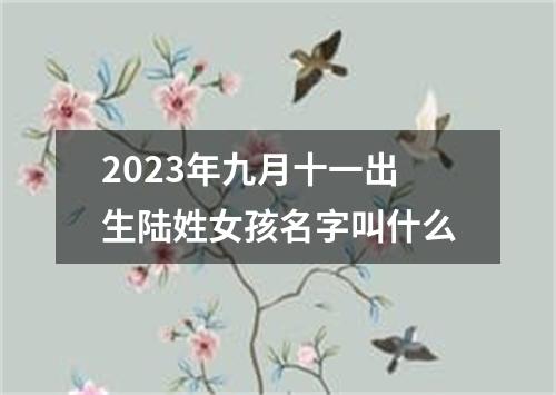 2023年九月十一出生陆姓女孩名字叫什么