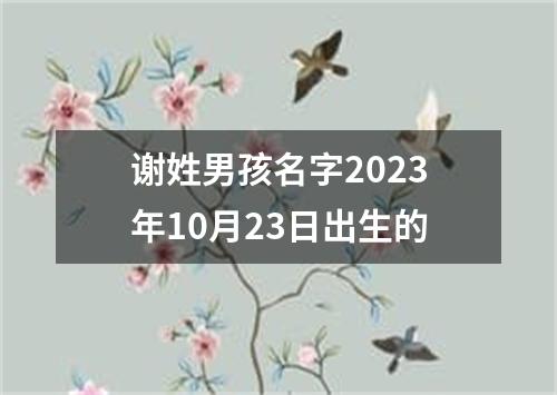 谢姓男孩名字2023年10月23日出生的
