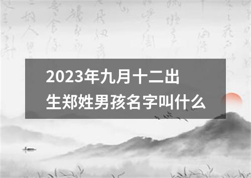 2023年九月十二出生郑姓男孩名字叫什么