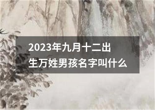 2023年九月十二出生万姓男孩名字叫什么