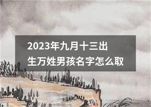 2023年九月十三出生万姓男孩名字怎么取