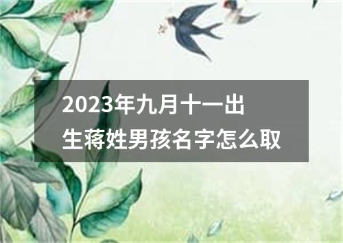 2023年九月十一出生蒋姓男孩名字怎么取