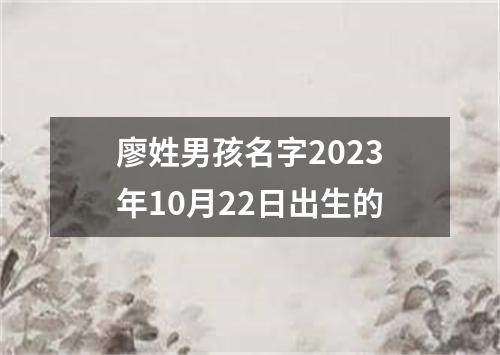 廖姓男孩名字2023年10月22日出生的