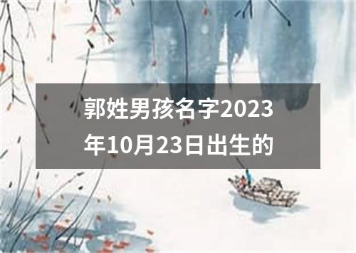 郭姓男孩名字2023年10月23日出生的