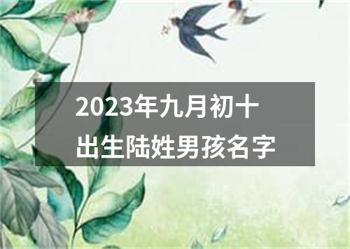 2023年九月初十出生陆姓男孩名字