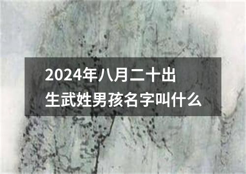 2024年八月二十出生武姓男孩名字叫什么