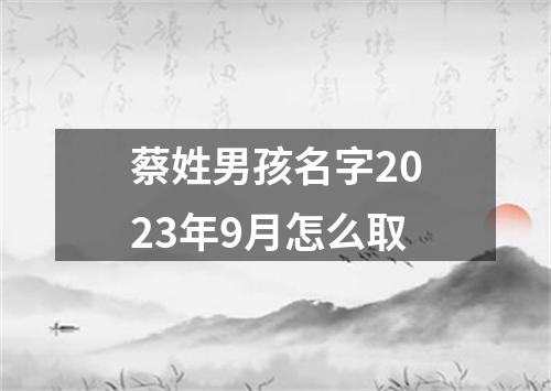 蔡姓男孩名字2023年9月怎么取