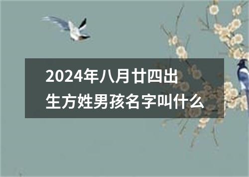 2024年八月廿四出生方姓男孩名字叫什么