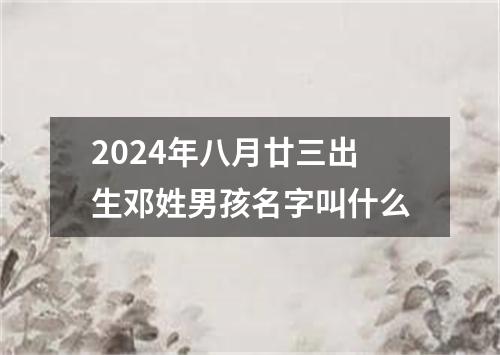 2024年八月廿三出生邓姓男孩名字叫什么