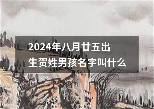 2024年八月廿五出生贺姓男孩名字叫什么