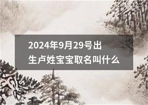 2024年9月29号出生卢姓宝宝取名叫什么