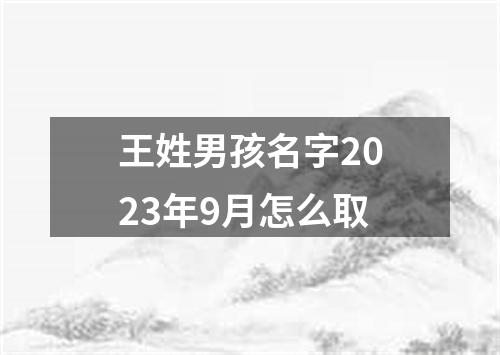 王姓男孩名字2023年9月怎么取