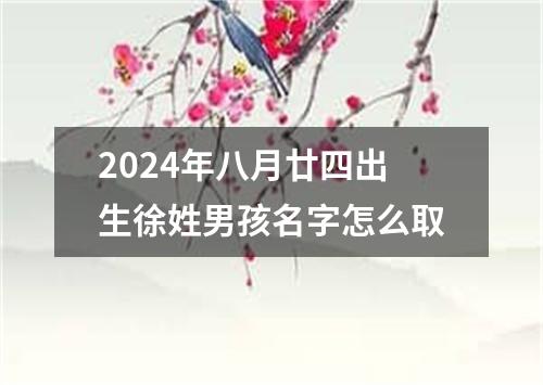 2024年八月廿四出生徐姓男孩名字怎么取