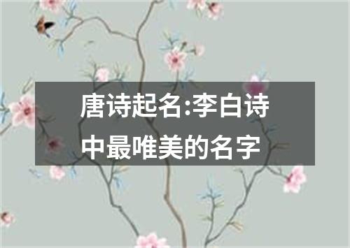 唐诗起名:李白诗中最唯美的名字
