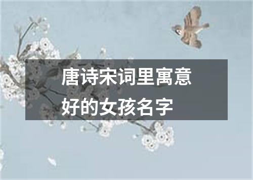 唐诗宋词里寓意好的女孩名字