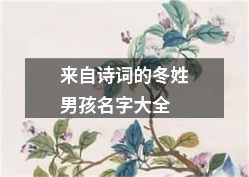 来自诗词的冬姓男孩名字大全