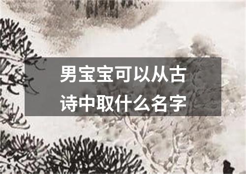 男宝宝可以从古诗中取什么名字