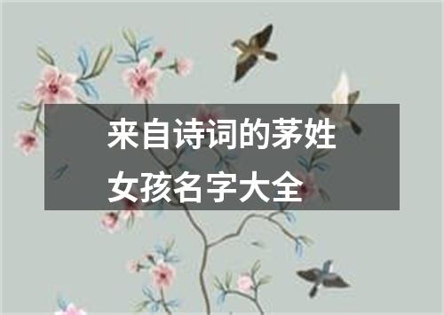 来自诗词的茅姓女孩名字大全